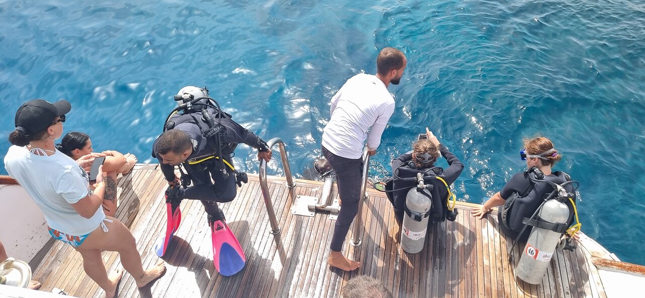 Kid-Safe Snorkeling in the Red Sea: Top Family Spots 2025