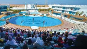 Family-Friendly Tours in Hurghada & Makadi Bay: 2026 Red Sea Highlights