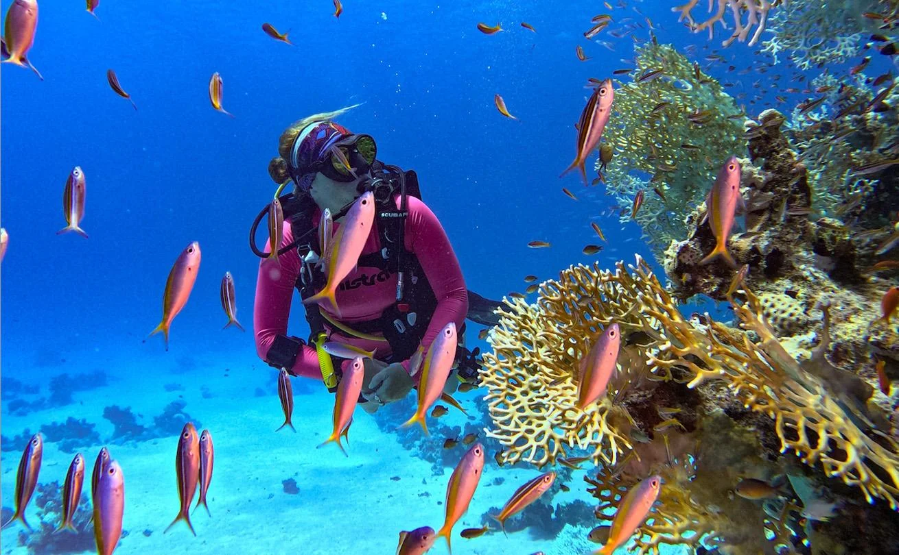 House-Reef Snorkeling & Diving at Red Sea Resorts Tips