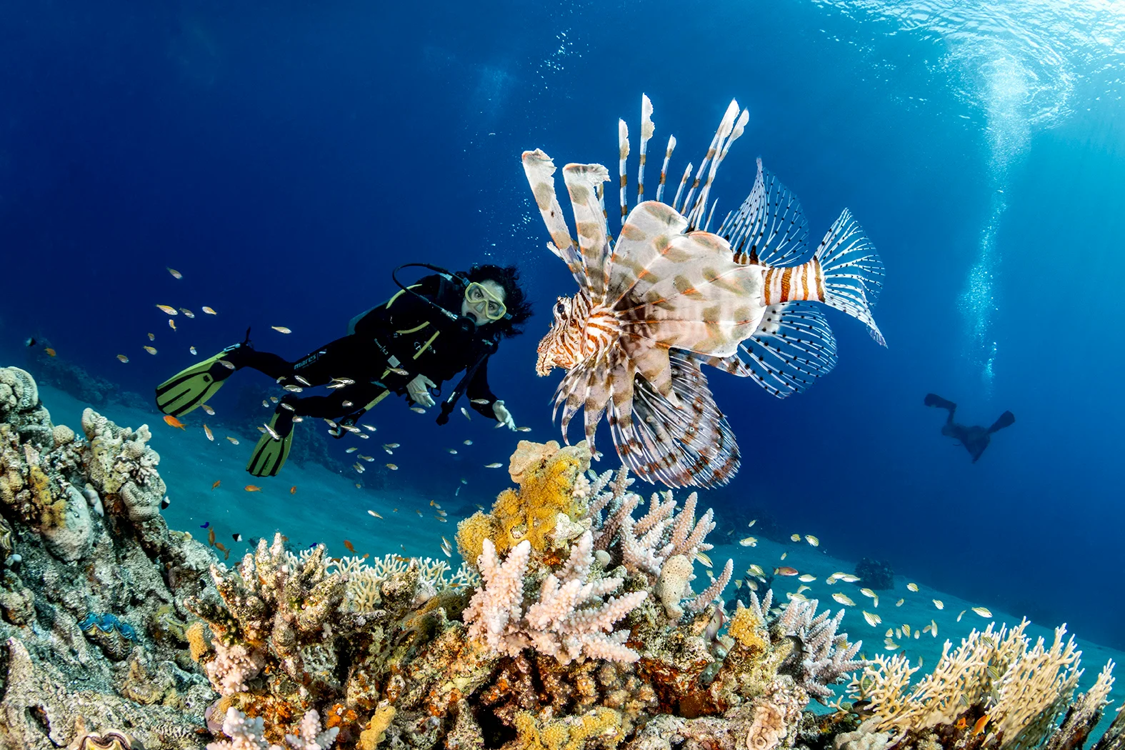 Eco-Friendly Diving in Egypt’s Red Sea: Coral Care Tips for 2026