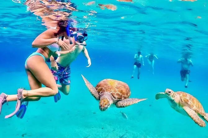 Red Sea Weather by Month: Best Times to Dive, Snorkel & Relax in 2026