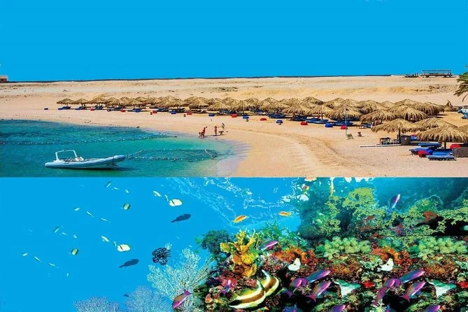 Why Hurghada’s Dolphin House Cruise Is 2026’s Top Red Sea Day Trip