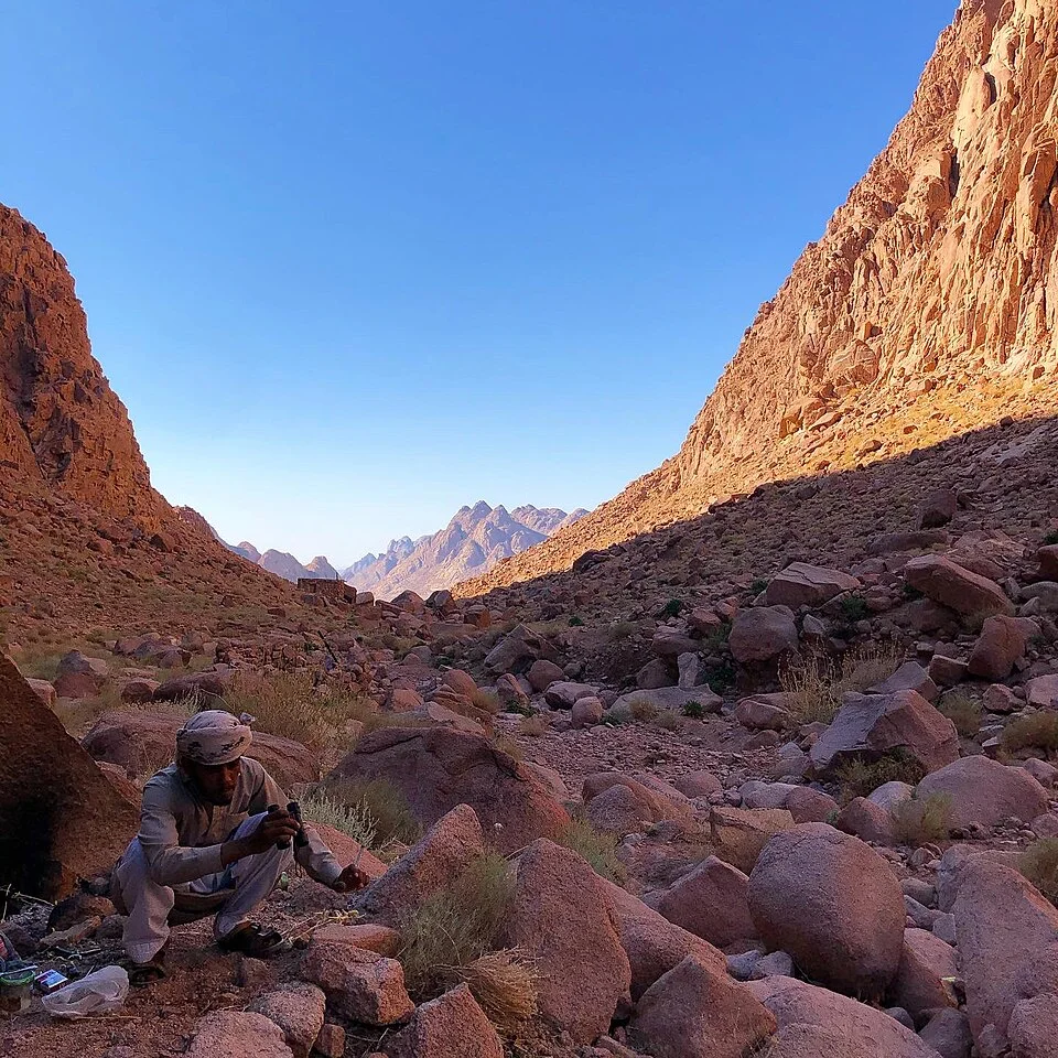 A Bedouin host pours hot sage tea from a blackened kettle into small glass cups beside a campfire on the sand at dusk.