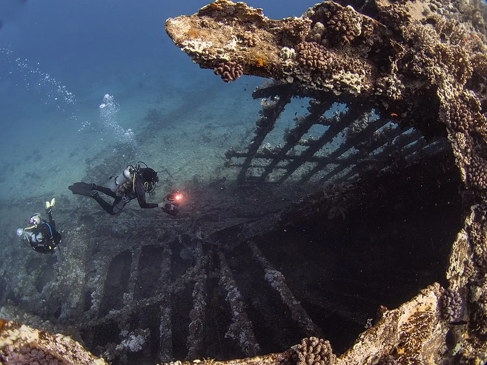 Two scuba divers descend beside a vibrant coral wall teeming with anthias in crystal-clear Red Sea water.