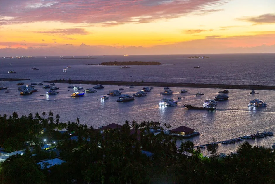 Aerial boats at <a href=