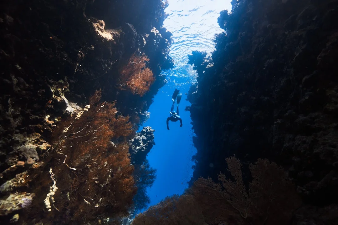 Un apnéiste plane au-dessus du bord du Blue Hole de Dahab, son câble de descente visible dans l'eau d'un bleu limpide.
