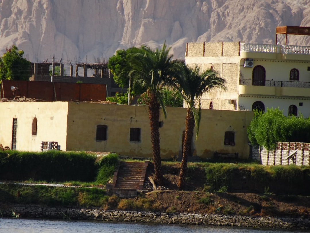 Snorkeler above a shallow coral garden on a calm morning at Makadi Bay, Egypt.