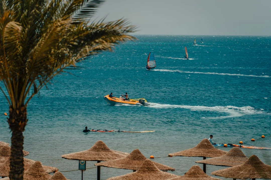 Divers along Ras Mohammed reef wall discussing Red Sea visibility season patterns