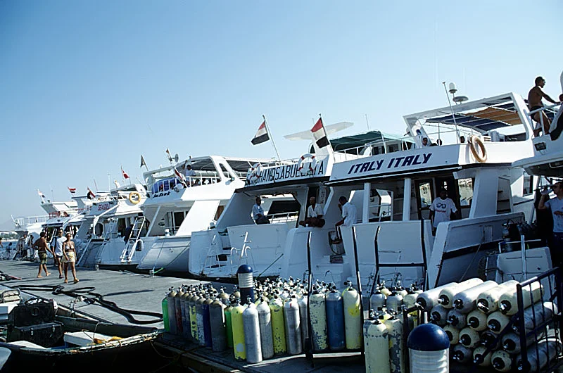 Divers kitting up on Sharm El Sheikh jetty planning best time Red Sea diving trips