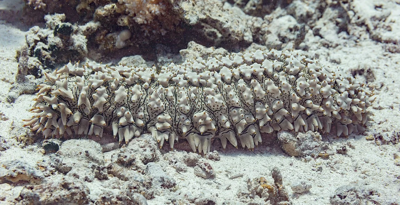 Lagoon and boat stop near <a href=