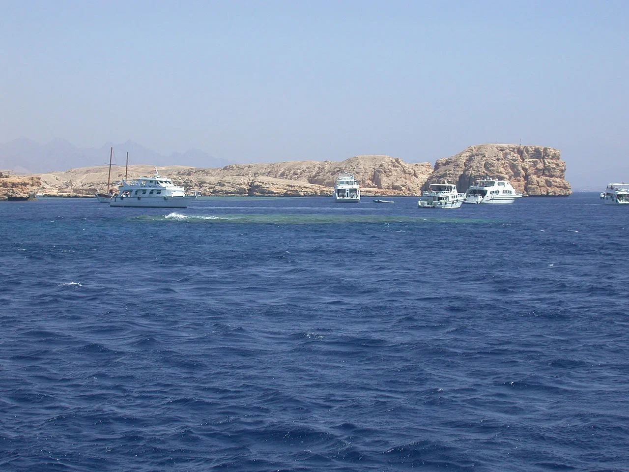 snorkeling tours tours and activities and reef planning stop for a Sharm El Sheikh itinerary at Ras Mohammed with clear water and coral