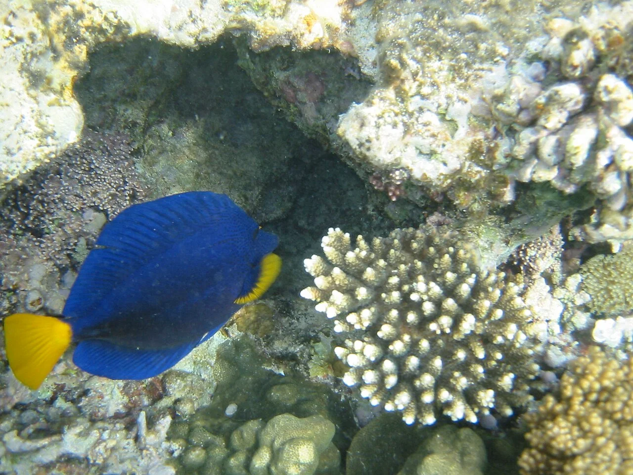 Map-style view of Hurghada coastline and southern resort zones