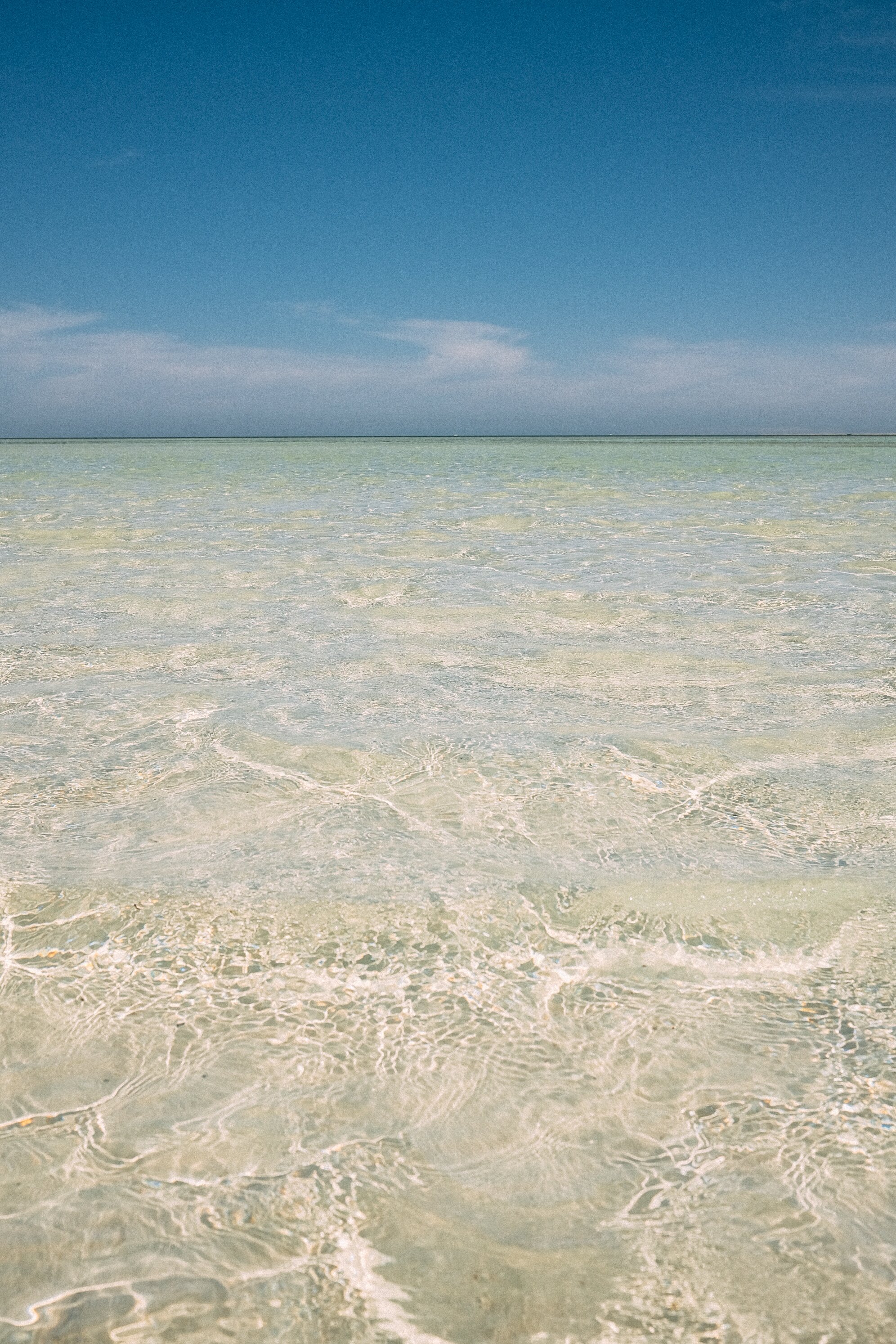 Traveler photo 2