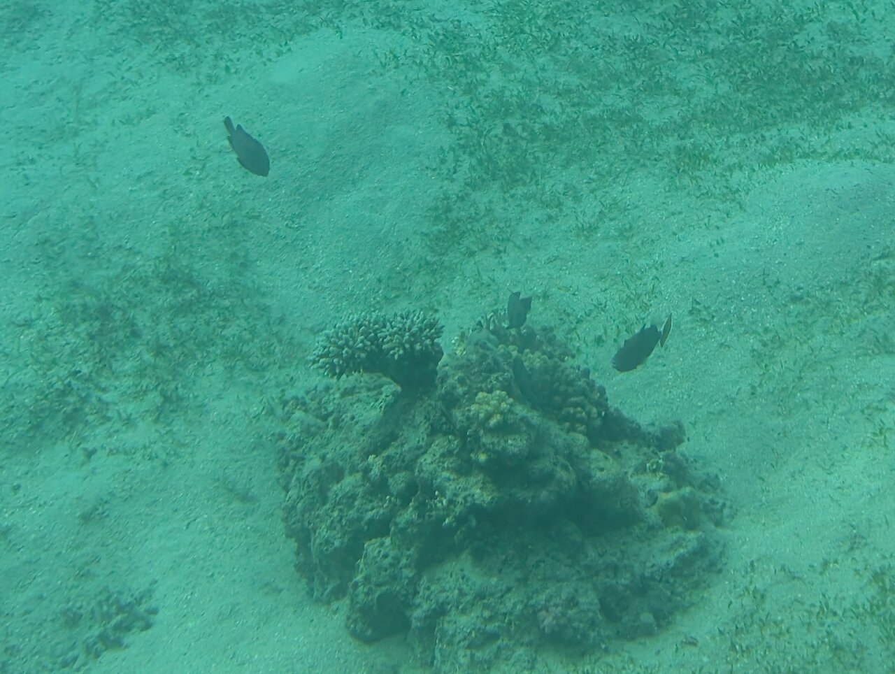 Traveler photo 4
