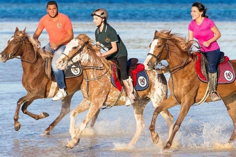 2-Hour Horseback Ride in Nabq Bay