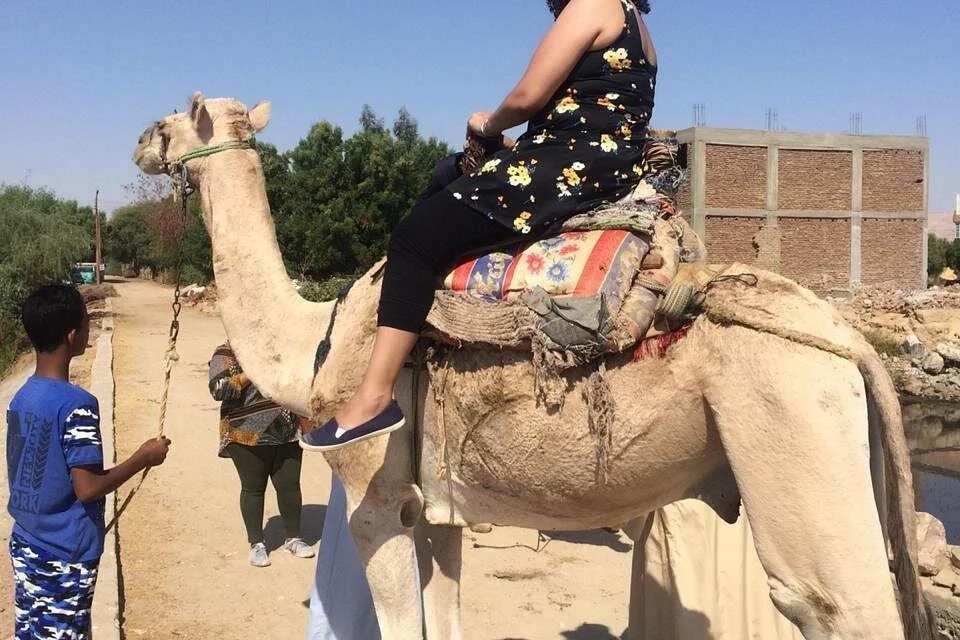 Cairo: 7-Night Nile Cruise Aswan to Luxor & Flights