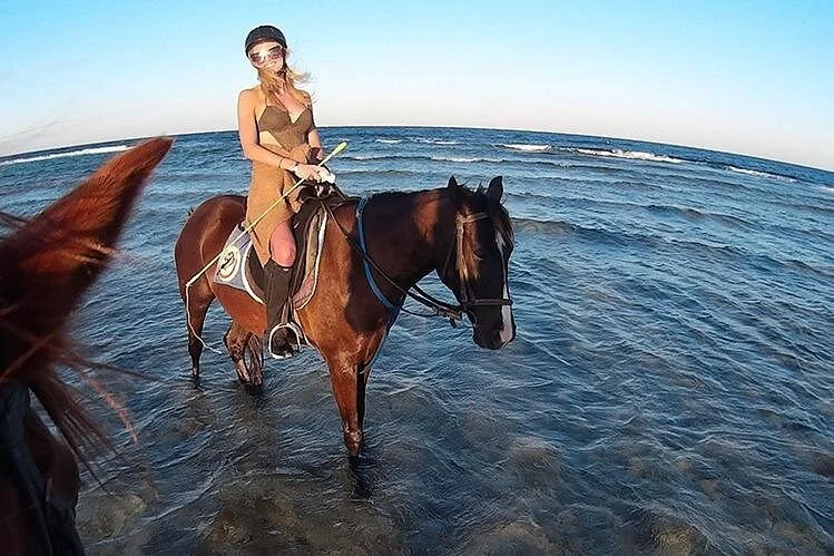 El Gouna: Private Horseback Riding Experience