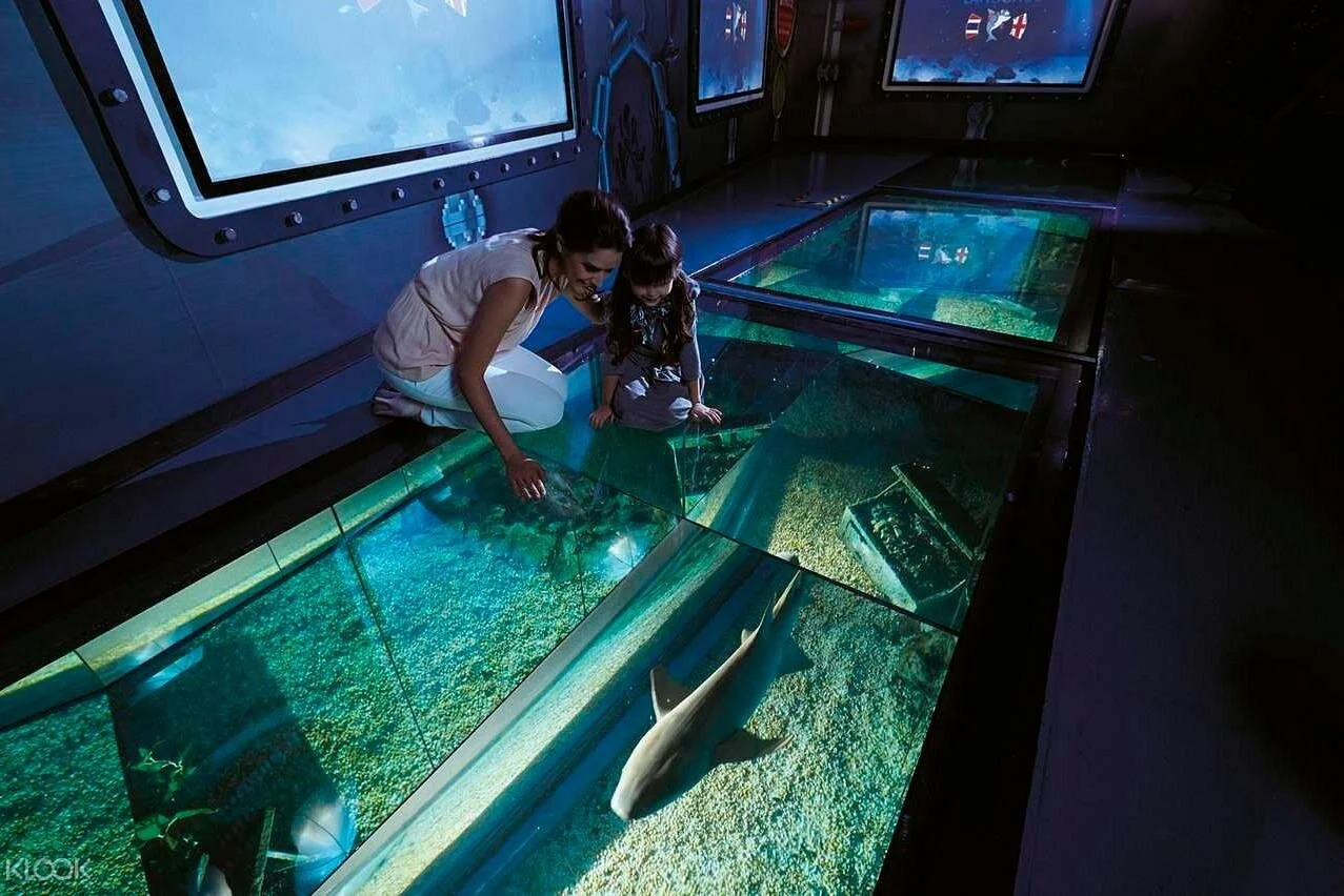 Hurghada: Glass-Bottom Speedboat Reef Cruise