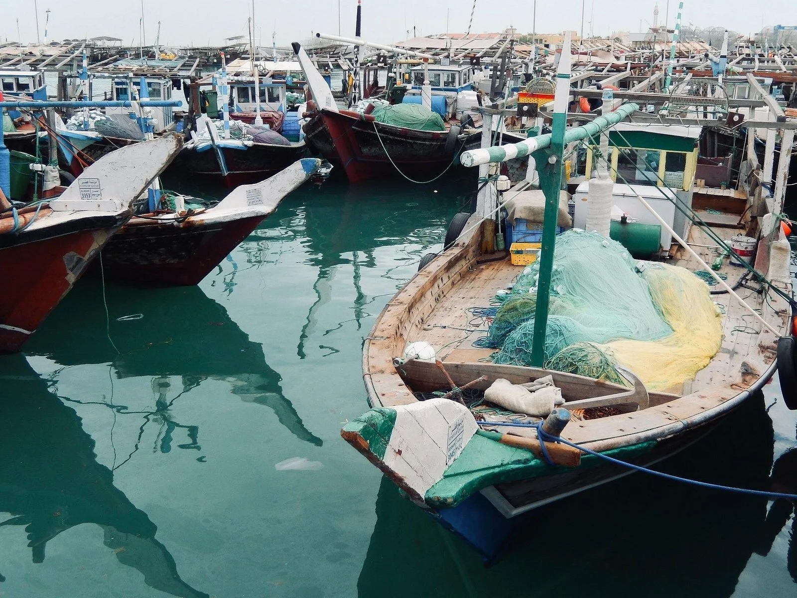 North Qatar Guided Expedition to Nature Charms