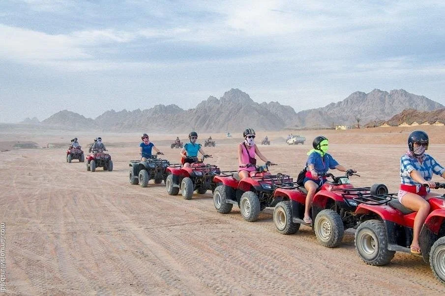 Marsa Alam: 3-Hour Quad Bike Safari & Camel Ride