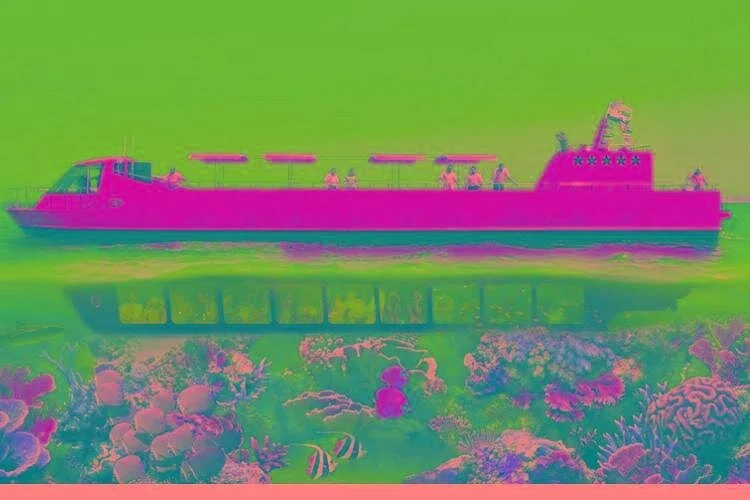 Sharm El Sheikh: Submarine Tour to See Marine Life