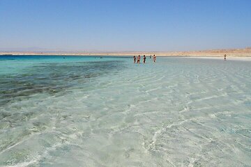 Sharm El Luli Beach Day Tour from Marsa Alam - Image 2