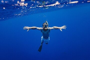 Sharm El Luli Beach Day Tour from Marsa Alam - Image 3