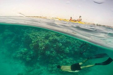 Sharm El Luli Beach Day Tour from Marsa Alam - Image 4