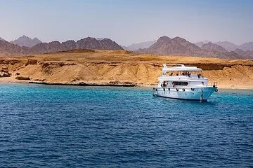 White Island and Ras Mohamed Cruise Adventure from Sharm ElSheikh - Image 1