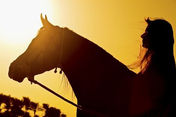Two-Hour Desert and Sea Horse Riding Experience in Hurghada - Image 2