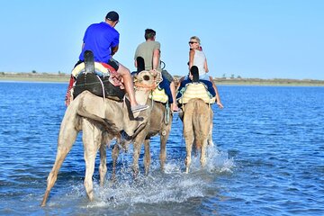 Two-Hour Desert and Sea Horse Riding Experience in Hurghada - Image 3