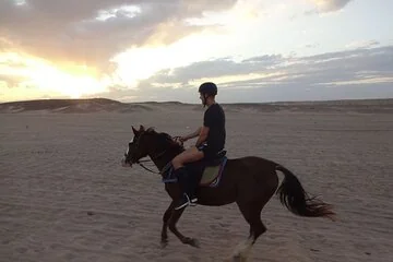 Two-Hour Desert and Sea Horse Riding Experience in Hurghada - Image 4
