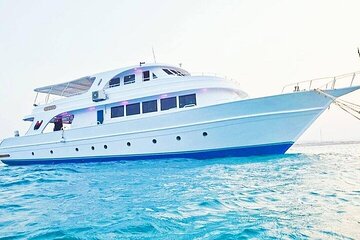 Marsa Mubarak Boat Trip with Dugongs and Turtles in Marsa Alam - Image 2