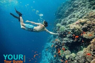 Snorkeling trips from Hurghada - Image 1