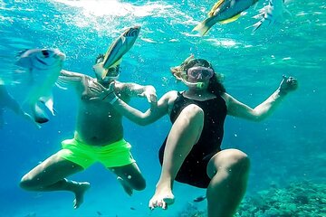 Snorkeling trips from Hurghada - Image 3