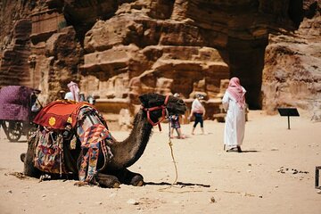Arabian Horse/Camel Riding ;Private special guided tour - Image 3