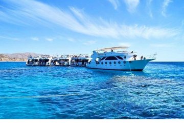 Boat Trip to Ras Mohamed & White island Red Sea & Snorkeling in Sharm elsheikh - Image 1