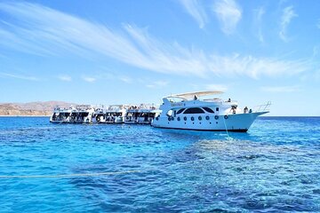 Boat Trip to Ras Mohamed & White island Red Sea & Snorkeling in Sharm elsheikh - Image 4