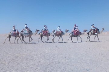 Vedi tutte le foto