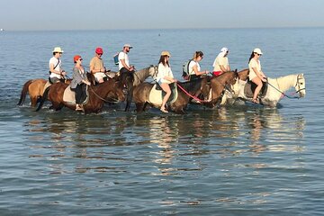 2 hours Horse Riding on The Sea and Desert- Hurghada - Image 1
