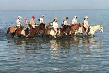 2-Hour Beach & Desert Horseback Adventure in Hurghada | Red Sea Tour