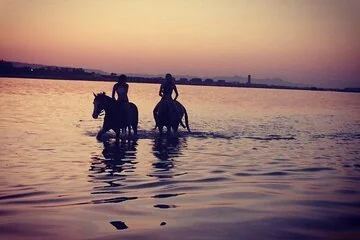 2 hours Horse Riding on The Sea and Desert- Hurghada - Image 2