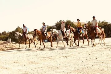 2 hours Horse Riding on The Sea and Desert- Hurghada - Image 3