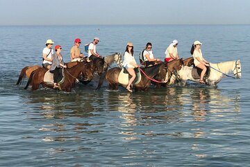 2 hours Horse Riding on The Sea and Desert- Hurghada - Image 4