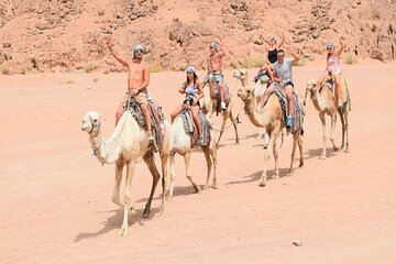 ATV Quad Bike Amazing Safari and Camel Ride From Hurghada - Image 3