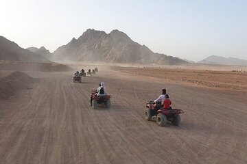 Quad Biking Safari-Camel Ride-Bedouin Dinner and Shows From Sharm - Image 4