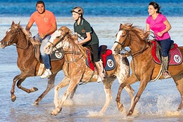 2 Hour Horseback Ride in Nabq Bay - Image 1