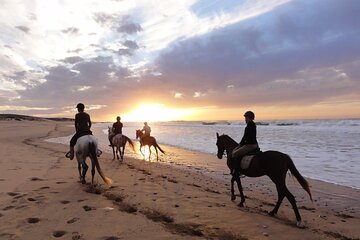 Horse & Camel Riding Experience in Hurghada - Image 1