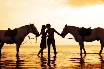 Horse & Camel Riding Experience in Hurghada - Image 2