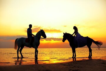 Horse & Camel Riding Experience in Hurghada - Image 4